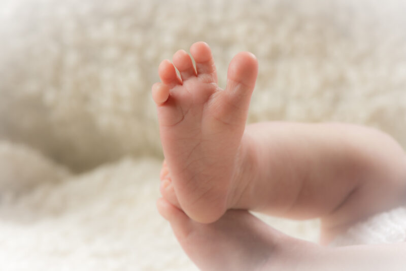 4 Baby-6545